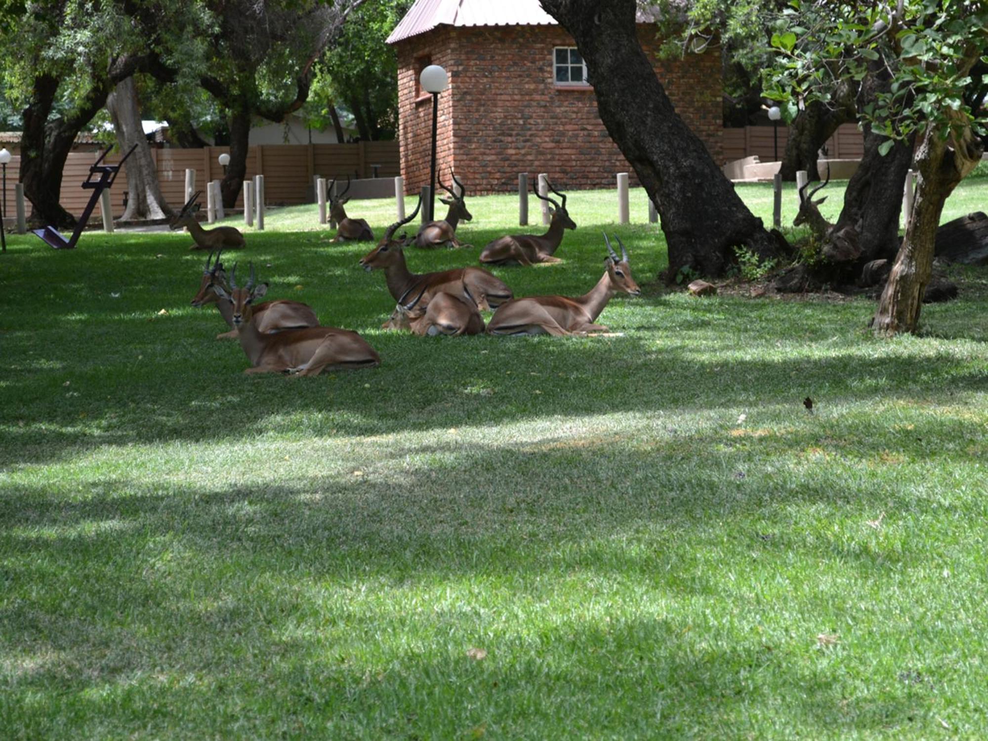 Mount Amanzi Resort 3*
